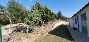 a fence in front of a building with trees at Villa Celeste in Rena Majore +46 photos