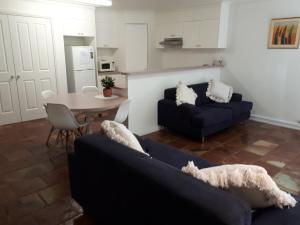 a living room with two blue couches and a table at Roshnier Apartment in Warrnambool
