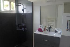 ein Bad mit einem Waschbecken und einer Dusche mit einem Spiegel in der Unterkunft LES AGAPANTHES du 27 -ème in Le Tampon