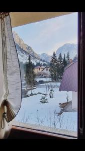 una ventana con vistas a un campo cubierto de nieve en HOME PREDIL en Tarvisio