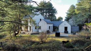 a white house with a dog standing in the yard at La villa dans les pins in Quend