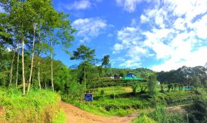 a field with trees and a house in the background at Chintapu Homestay In Maipokhari, Sandakpur Ilam in Ilām
