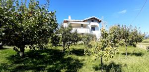 ein Haus auf einem Feld mit Bäumen davor in der Unterkunft Al Settimo Miglio, alloggio agrituristico in Treppo Grande