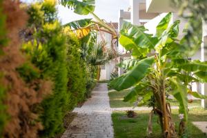 un chemin à travers un jardin avec des plantes dans l'établissement Alkistis Hotel, à Diakopto