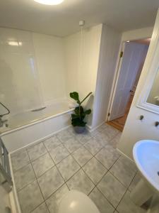 a bathroom with a tub and a toilet and a plant at Cheerful one bedroom cottage in Mousehole. in Mousehole