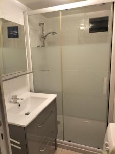 a bathroom with a shower and a white sink at Au bord du lac in Royère-de-Vassivière