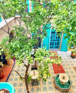 Zahrada ubytování Riad Al Nour