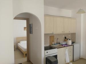 Kuchyňa alebo kuchynka v ubytovaní Gio st Gio apartment 2 Antiparos st Giorgio