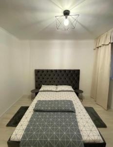 a bedroom with a bed in a room with a light at TALINA Apartament in Oradea