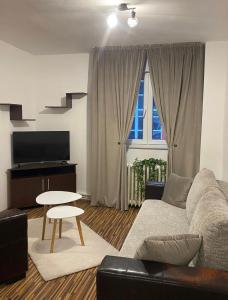 a living room with a couch and a table at TALINA Apartament in Oradea