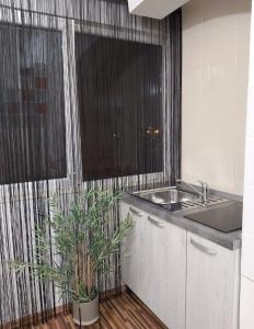 a kitchen with a sink and a window at TALINA Apartament in Oradea