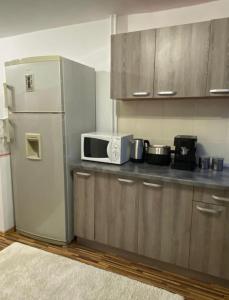 a kitchen with a refrigerator and a microwave at TALINA Apartament in Oradea