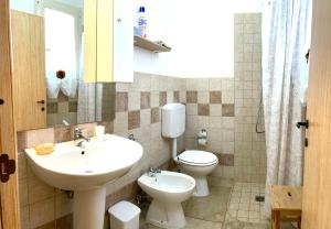マリーナ・ディ・マンカヴェルサにあるRustichelloのバスルーム(洗面台、トイレ、鏡付)