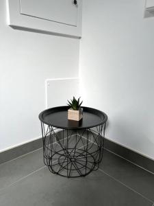 una mesa negra con una planta encima en LE LOFT - 70m2 T3 Cronenbourg 6 pers, en Estrasburgo