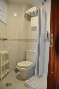 a bathroom with a toilet and a shower at Alojamiento Santa Maria II in Milladoiro