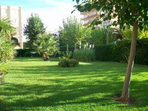 Vonkajšia záhrada v ubytovaní DON XIMO GANDIA - Alquiler solo familias