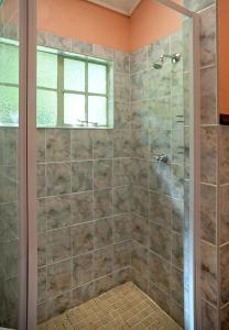 a bathroom with a shower with a glass door at Birches Cottage & the Willows Garden Room in Underberg