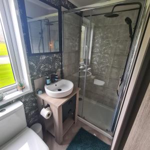 a bathroom with a sink and a shower at Mawgan Pads Padstow in Padstow