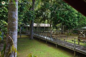 una casa en el bosque con una valla y árboles en Sukau Greenview Bed & Breakfast, en Sukau
