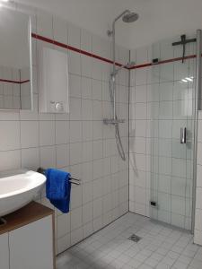 y baño con ducha y lavamanos. en Ferienwohnung Schloßstr. 8, Mirow, en Mirow