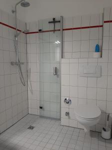 a bathroom with a shower and a toilet at Ferienwohnung Schloßstr. 8, Mirow in Mirow