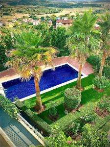 an overhead view of a swimming pool between two palm trees at Beach Hiking Holiday Villa Luanit in Tragjas