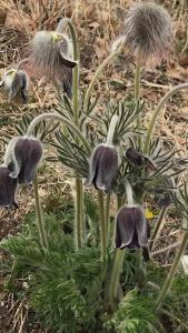 Gallery image of La Casa di Franco in Rivoli Veronese