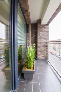 - un balcon avec des plantes dans un pot dans un bâtiment dans l'établissement Apartament przy Fabrycznym, à Łódź