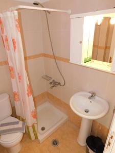 a bathroom with a toilet and a sink and a shower at Elatos Apartments in Klitoria