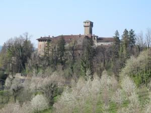Tagliolo MonferratoにあるCastello di Tagliolo Wine Resortのギャラリーの写真