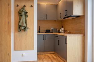 Køkken eller tekøkken på Osada Wróblonki - Apartamenty