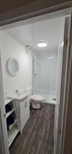 a bathroom with a toilet and a sink and a shower at Harbour bridge, Camps bar in Wick