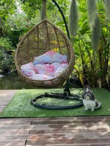 a small dog sitting in front of a swing at บ้านสวนใกล้กรุงบางกะเจ้า in Phra Pradaeng