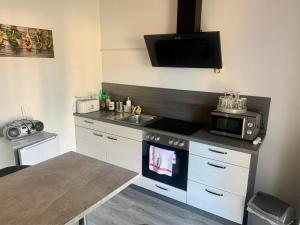 a kitchen with a stove and a sink and a microwave at Haus Am Burghain in Naumburg