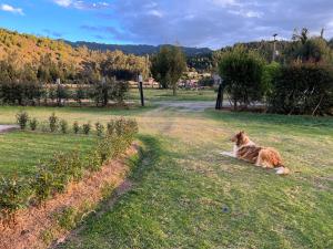 Imagen de la galería de Casa Campestre Villa Luna, en Sogamoso 14 fotos más