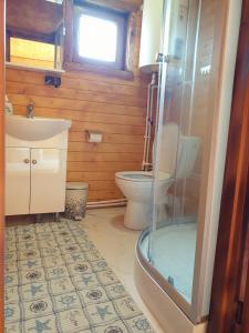 a bathroom with a toilet and a glass shower at Casa Fericirii in Cârțișoara