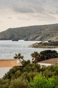 una vista de un cuerpo de agua con palmeras en Apartment Cadaques, en Cadaqués