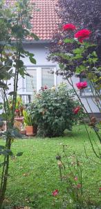 Zahrada ubytování Ferienwohnung Relax