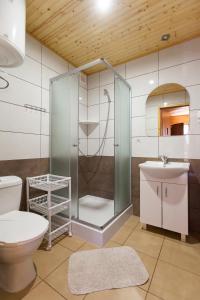a bathroom with a shower and a toilet and a sink at Domki Leśny Zakątek in Pogorzelica +124 photos