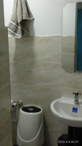 a bathroom with a toilet and a sink at Hostal Arámbulo in Villavieja
