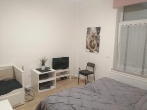 Schlafzimmer mit einem Bett, einem TV und einem Stuhl in der Unterkunft Apartment Cologne in Köln