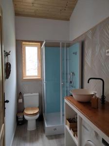 a bathroom with a shower and a toilet and a sink at Casa de madera El jardín de Tara in Tiñor