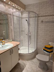 a bathroom with a shower and a toilet and a sink at Ferienwohnung Reese- Horstmann mit Hallenbad und Sauna, WLAN "Harz zu jeder Jahreszeit" in Bad Harzburg