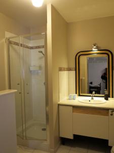 ein Bad mit einem Waschbecken und einer Dusche mit einem Spiegel in der Unterkunft La Ferme de la Fosse Dionne in Tonnerre