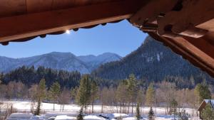 a view of the mountains from a log cabin at Apartements Ingrid Unhoch-Raggl in Oberammergau