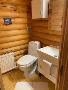 een badkamer met een wit toilet en een wastafel bij Vänvik Pyhtää in Siltakylä