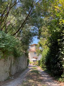 uma estrada de terra com árvores e uma casa à distância em B&B La Rocca em Carmignano