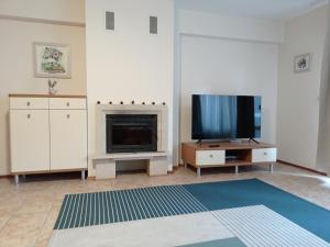 バンスコにあるFree SPA Pirin lodge cosy apartmentのリビングルーム(テレビ、暖炉付)