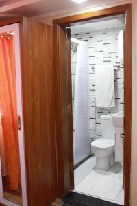 uma casa de banho com um WC e um chuveiro em Osiris Hotel Cairo no Cairo