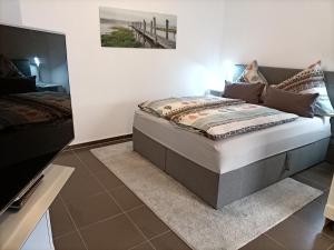 1 dormitorio con 1 cama y TV en BodenSEE Apartment Meckenbeuren Neuhaldenstrasse, en Meckenbeuren